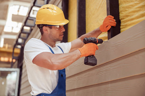 Best Stone Veneer Siding  in Norton, VA
